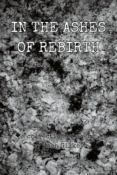 Cover of In the Ashes of Rebirth